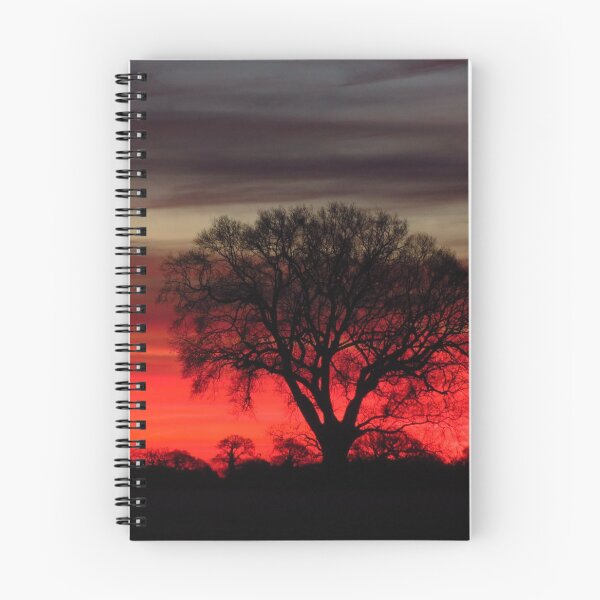 Item preview, Tree Silhouette, Red Dawn designed and sold by wiggyofipswich.