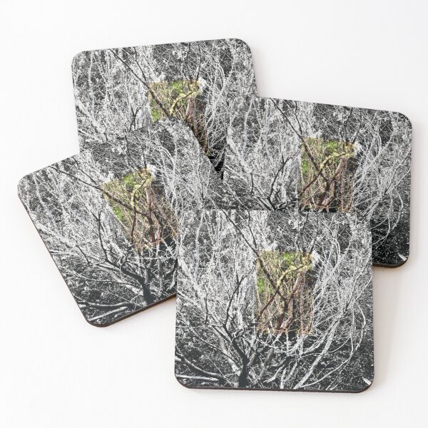 Item preview, Bush designed and sold by Jodie Cooper.