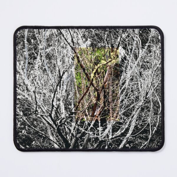 Item preview, Bush designed and sold by Jodie Cooper.