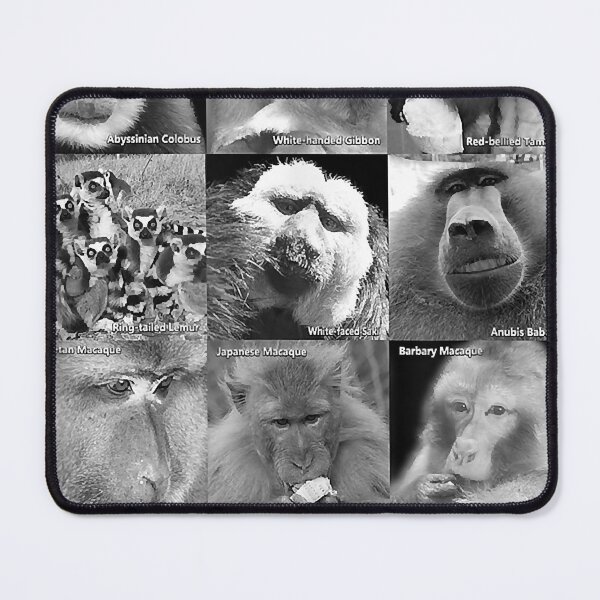 Item preview, Primate Photos T-Shirt designed and sold by Saraurnham.