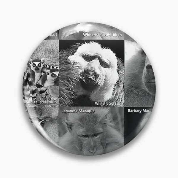 Item preview, Primate Photos T-Shirt designed and sold by Saraurnham.