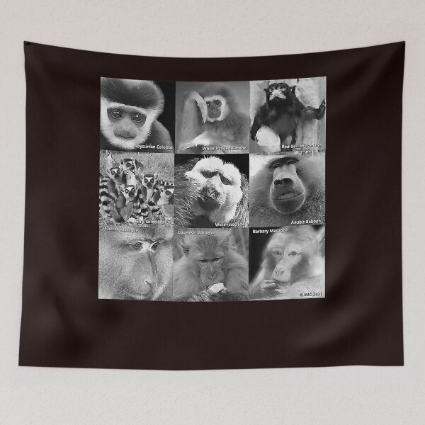 Item preview, Primate Photos T-Shirt designed and sold by Saraurnham.
