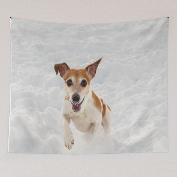 Item preview, dog walk in the snow designed and sold by marwan elsaeed.