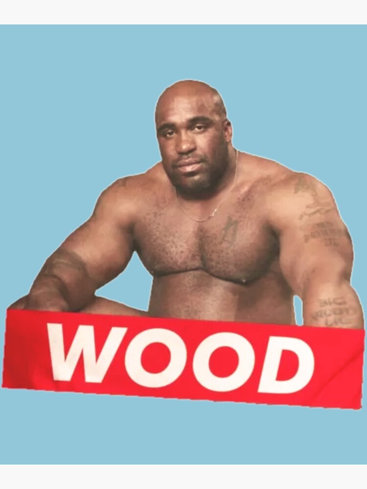 "Barry Wood Mask " Poster for Sale by OnCoast1 Redbubble