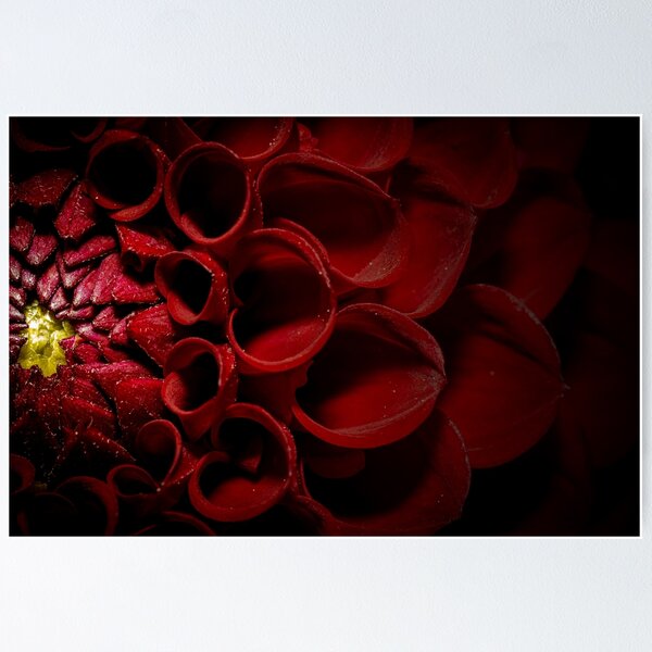Item preview, Nature's most beautiful language # 2 designed and sold by BBPGallery.