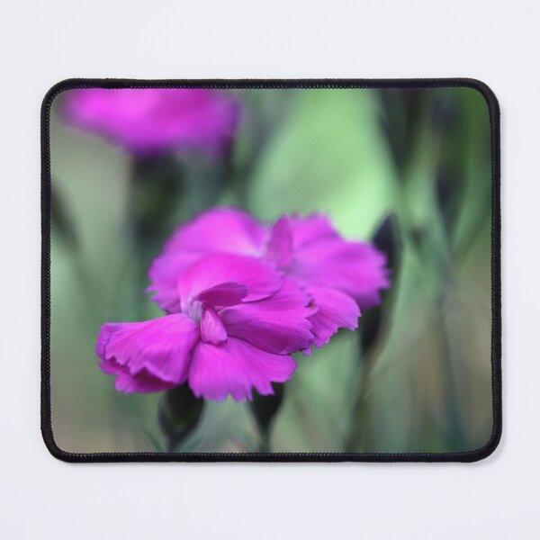 Item preview, Dianthus designed and sold by cuprum.