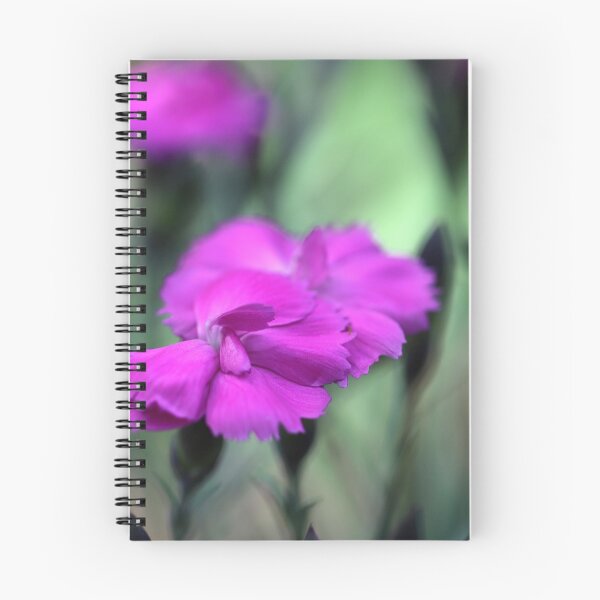 Item preview, Dianthus designed and sold by cuprum.