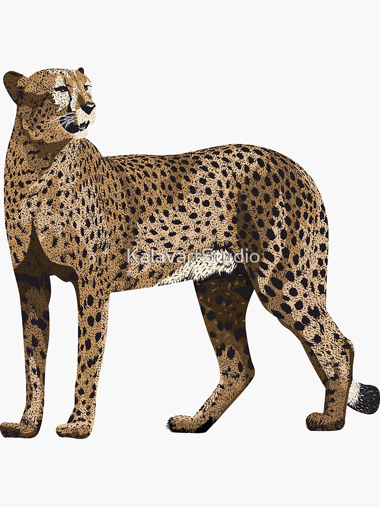Premium Vector  Black and white seamless animal pattern jaguar leopard  cheetah panther skin small spot animal f
