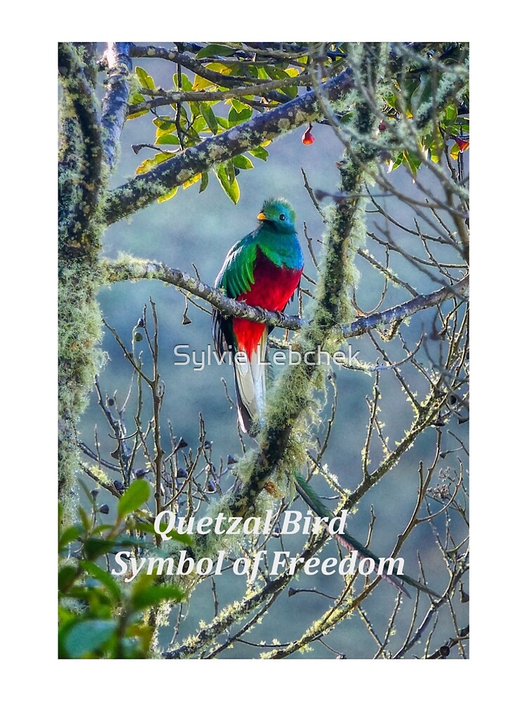 Symbol of Freedom" A-Line Dress for Sale by solena432 | Redbubble