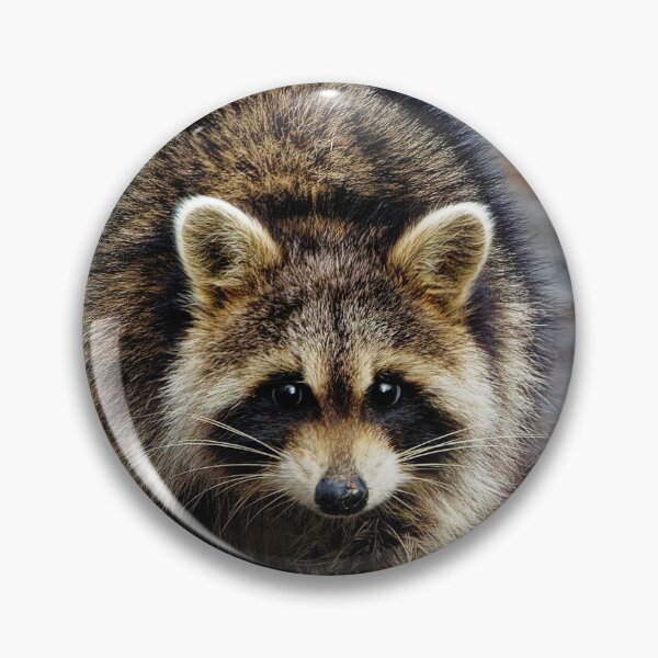 Item preview, Racoon  designed and sold by KDartisticeye.