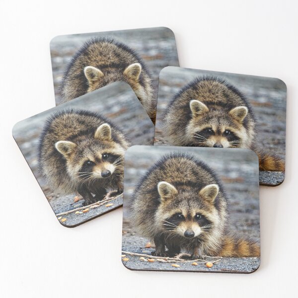 Item preview, Racoon  designed and sold by KDartisticeye.