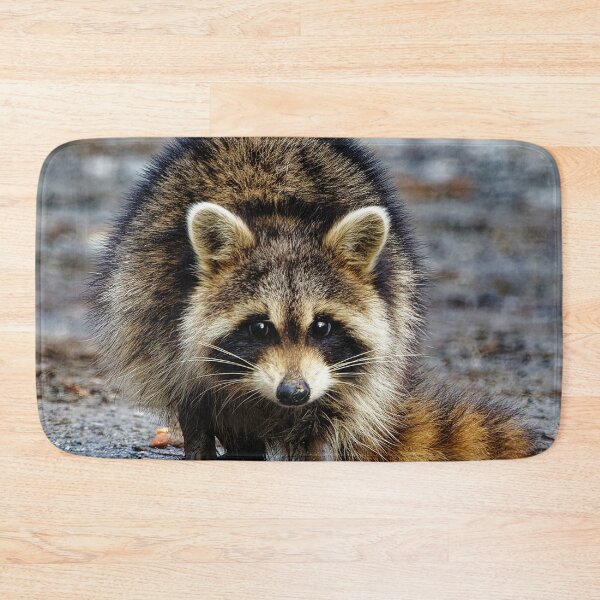 Item preview, Racoon  designed and sold by KDartisticeye.