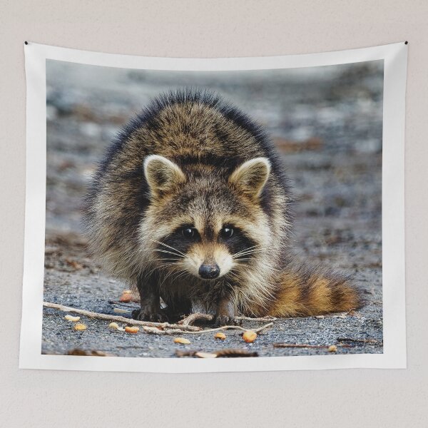 Item preview, Racoon  designed and sold by KDartisticeye.