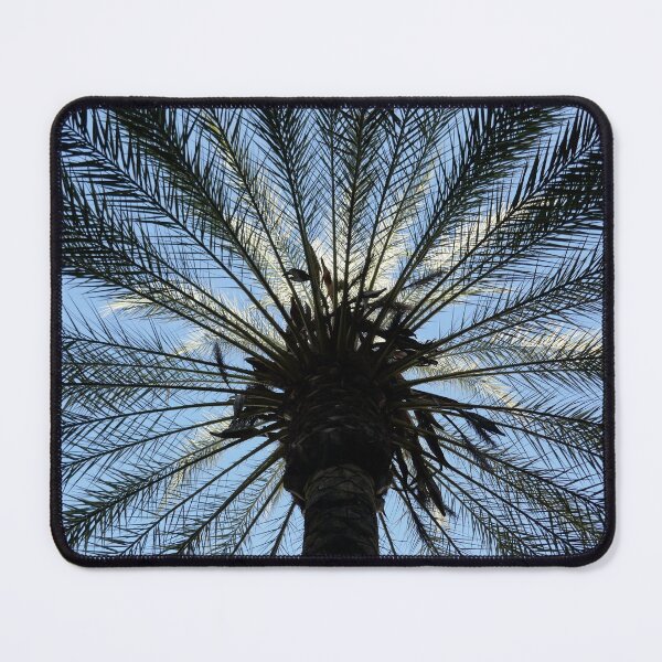 Item preview, Palm tree, upward view, Cordoba rectangular  designed and sold by paulboizot.