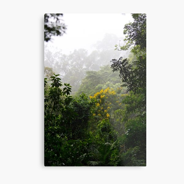 Insane Tropical Forest Metal Print