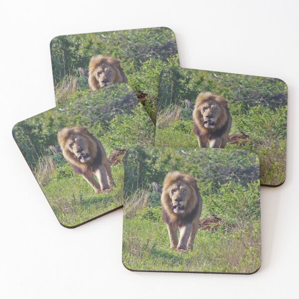 Item preview, Male lion, king of the Kruger designed and sold by Maniki SA.