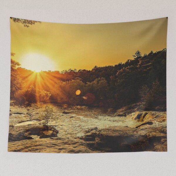 Item preview, Sunray Through Trees designed and sold by capotees.