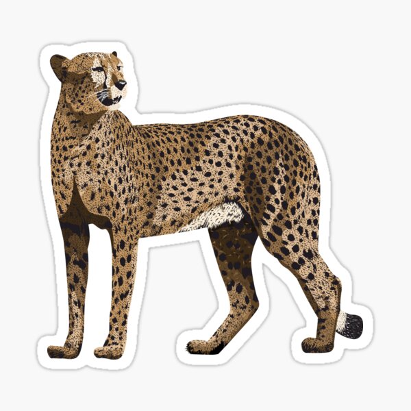 Vista previa del artículo con la obra «Leopardo Patrón de leo sin costuras Estampado animal.», diseñado y vendido por KalavartStudio.