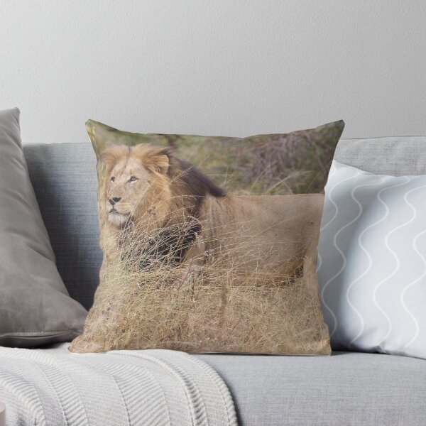 Item preview, Male lion marking his territory designed and sold by Maniki SA.