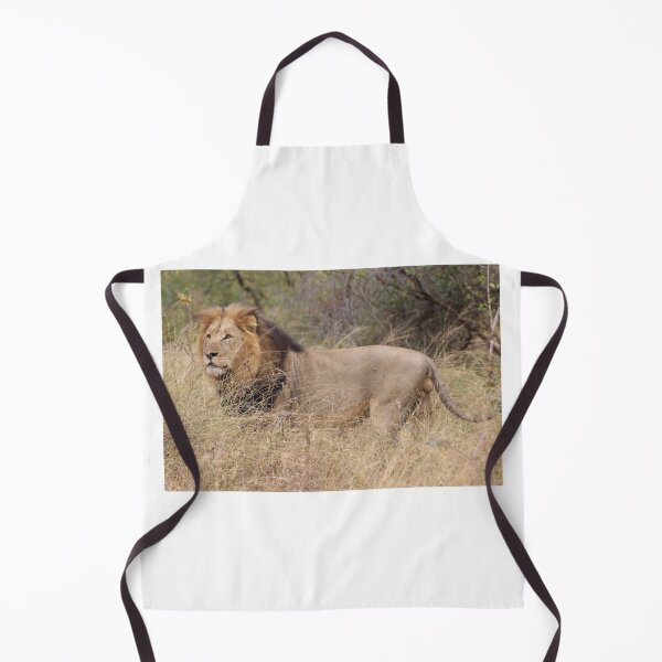 Item preview, Male lion marking his territory designed and sold by Maniki SA.