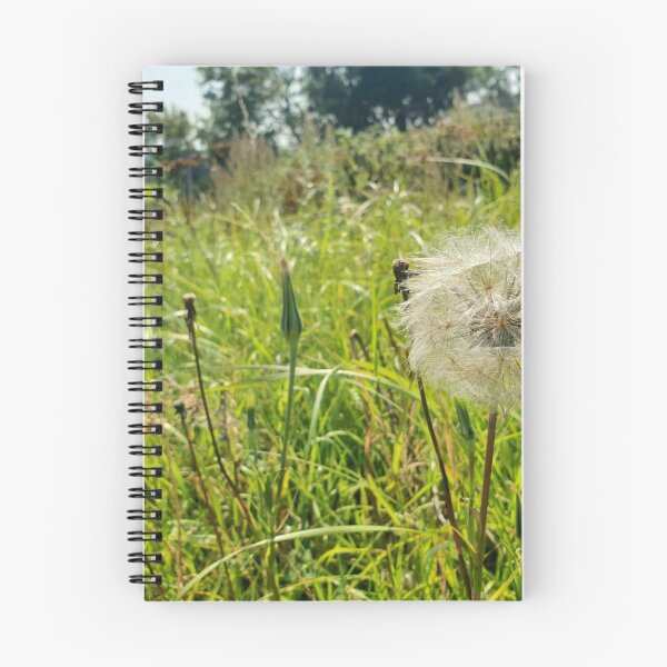 Item preview, Large dandelion head ready to seed. designed and sold by InterOptic.