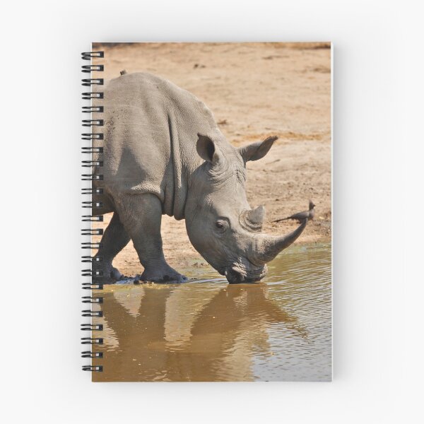Item preview, White Rhino critically endangered designed and sold by Maniki SA.