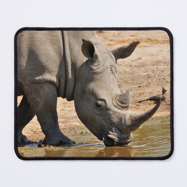 Item preview, White Rhino critically endangered designed and sold by Maniki SA.