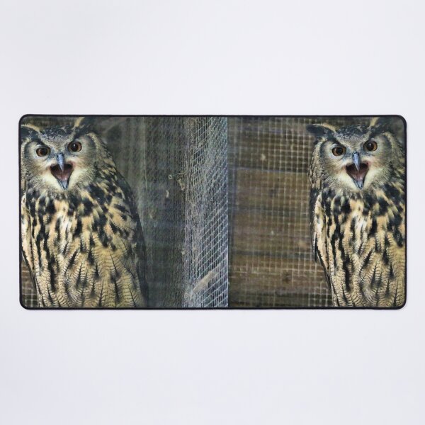 Item preview, Owl Call designed and sold by Fearless-Fox.