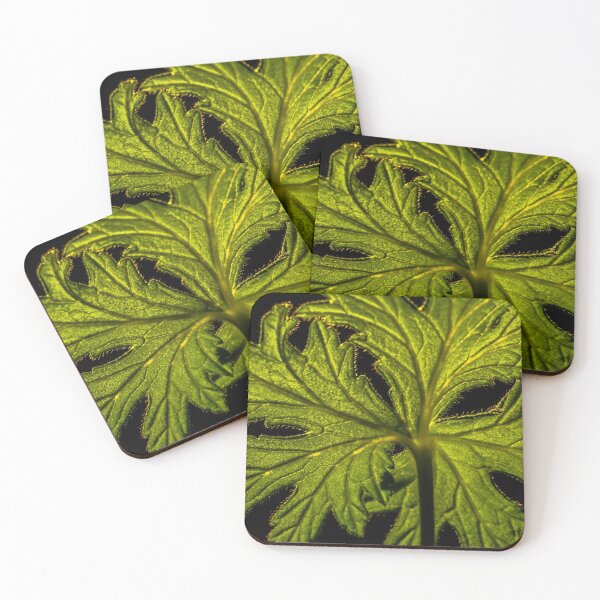 Item preview, Scented Geranium Leaf designed and sold by axp7884.
