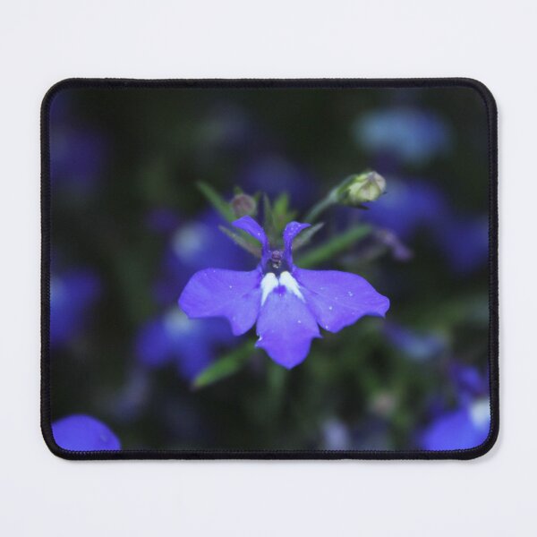 Item preview, Small Purple Flower with White Accents designed and sold by InterOptic.