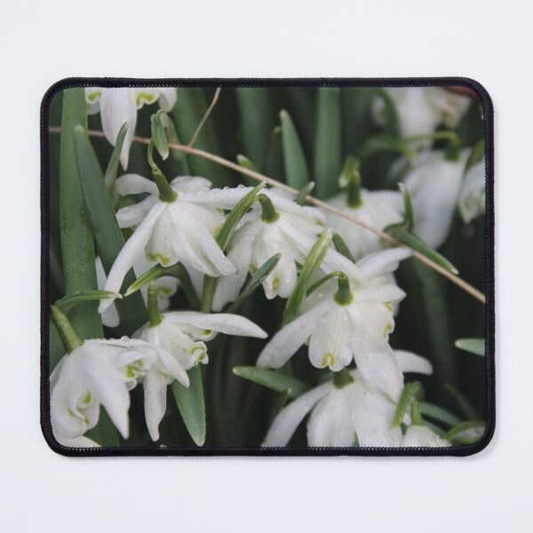 Item preview, Pure White Snow Drop Flowers designed and sold by InterOptic.
