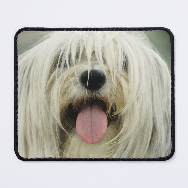 Item preview, Shaggy Dog designed and sold by Bruiserstang.