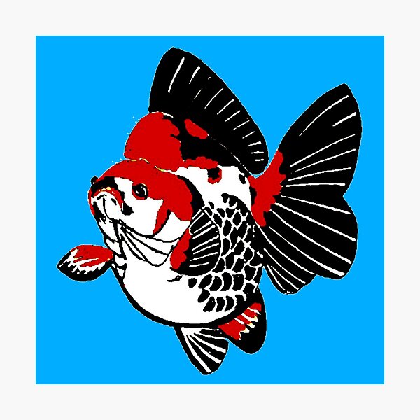 Item preview, Ryukin Tri Color Goldfish designed and sold by Nosnah.