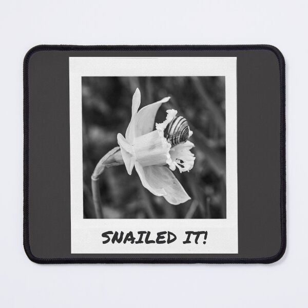 Item preview, Snailed it 2 designed and sold by miikanamoments.