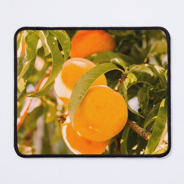 Item preview, Apricots poster designed and sold by JD369.
