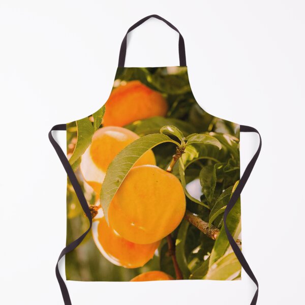 Item preview, Apricots poster designed and sold by JD369.