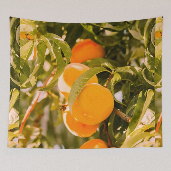 Item preview, Apricots poster designed and sold by JD369.