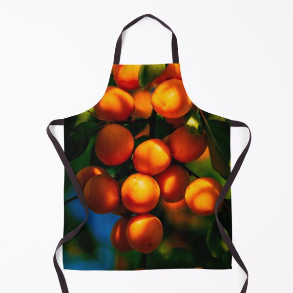 Item preview, Apricots orange color fruit poster designed and sold by JD369.