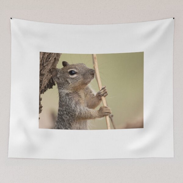 Item preview, Squirrel Olympics, Javelin Throw designed and sold by Sue  Cullumber.