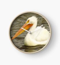 The American White Pelican Clock