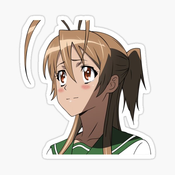  High School of The Dead Saya Takagi Asami Nakaoka Shizuka  Marikawa Rei Miyamoto Female Characters Sticker for Phone, Laptop,  Skateboard, Car : Electronics