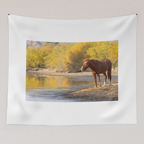Item preview, Autumn River Reflections designed and sold by Sue  Cullumber.