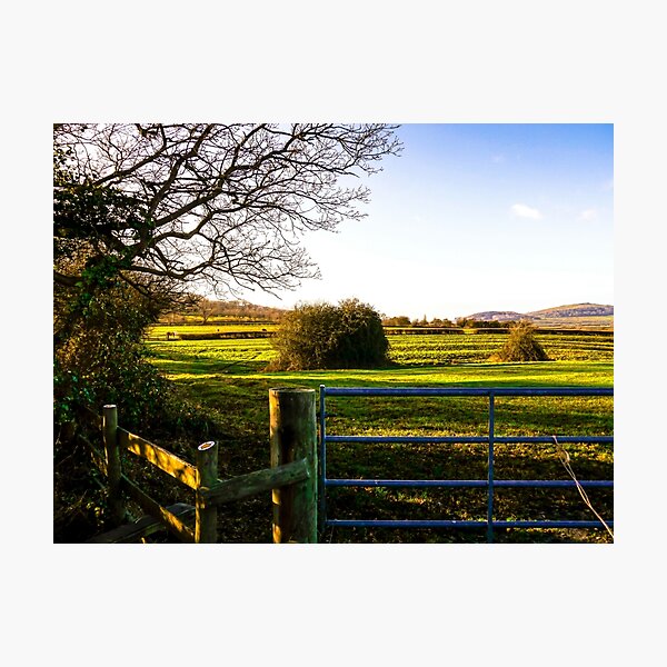 Cotswold Landscape Photographic Print