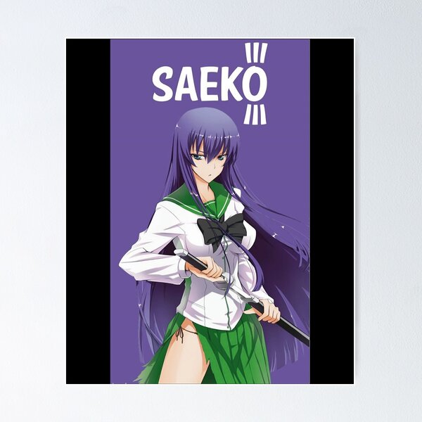 Highschool of The Dead Poster Anime (8.5 x 11)