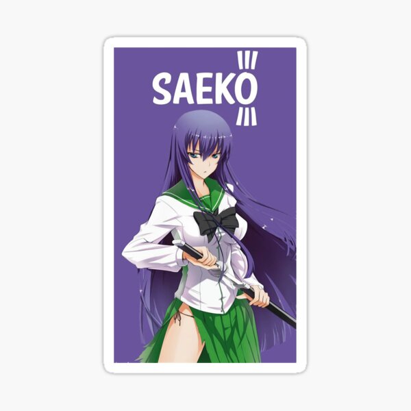 High School of The Dead Saya Takagi Asami Nakaoka Shizuka Marikawa Rei  Miyamoto Female Characters Sticker for Phone, Laptop, Skateboard, Car