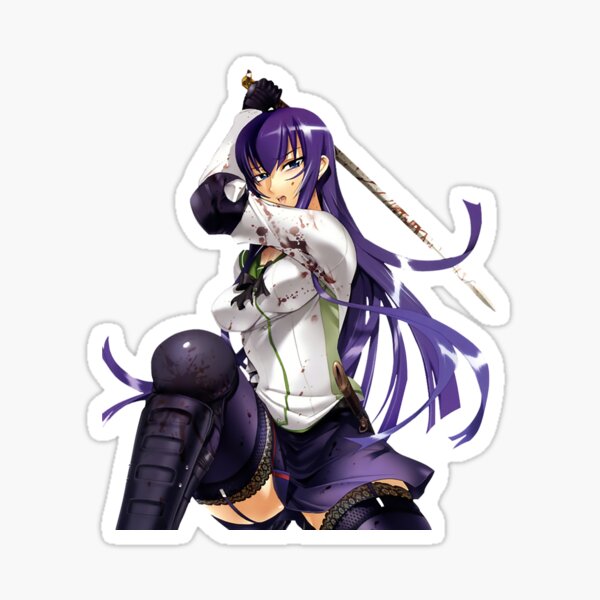  High School of The Dead Saya Takagi Asami Nakaoka Shizuka  Marikawa Rei Miyamoto Female Characters Sticker for Phone, Laptop,  Skateboard, Car : Electronics