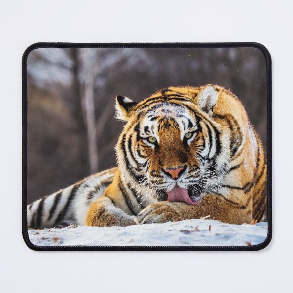 Item preview, Siberian Tiger designed and sold by ONORMAL.