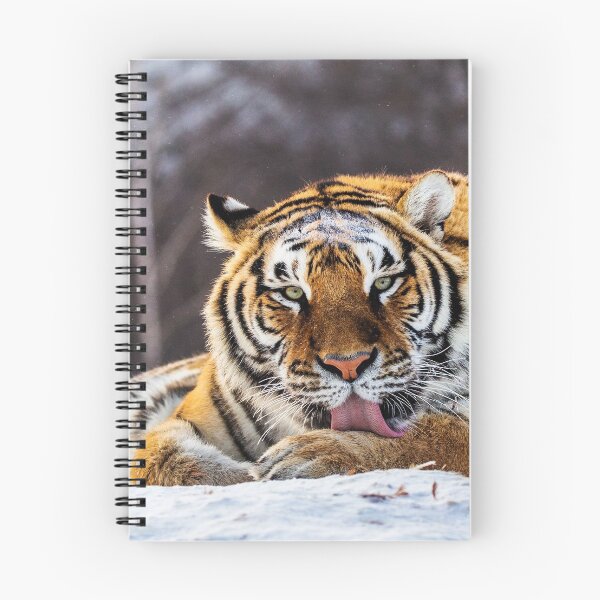 Item preview, Siberian Tiger designed and sold by ONORMAL.