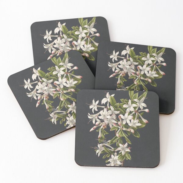 Item preview, Azalea Flower Vintage Botanical Print designed and sold by Vintage Wall Art.