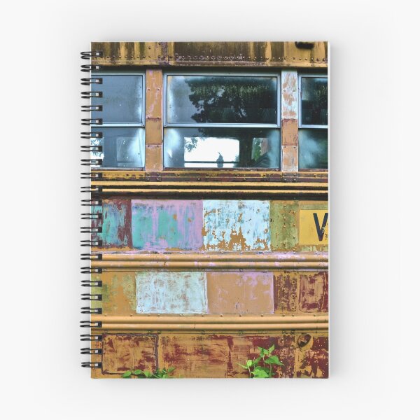 Item preview, Vicksburg, Mississippi designed and sold by wallace lester.